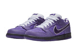 Concepts X Nike SB Dunk Low Purple Lobster